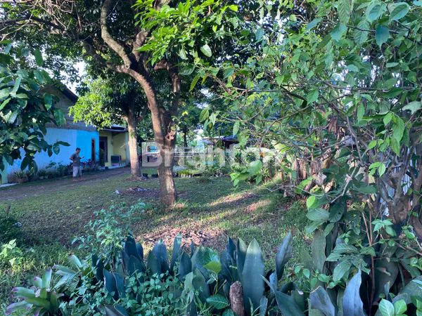 image TANAH STRATEGIS 953M² DI GUNUNG SINDUR, BOGOR (1)