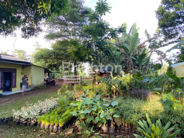 image TANAH STRATEGIS 953M² DI GUNUNG SINDUR, BOGOR (5)