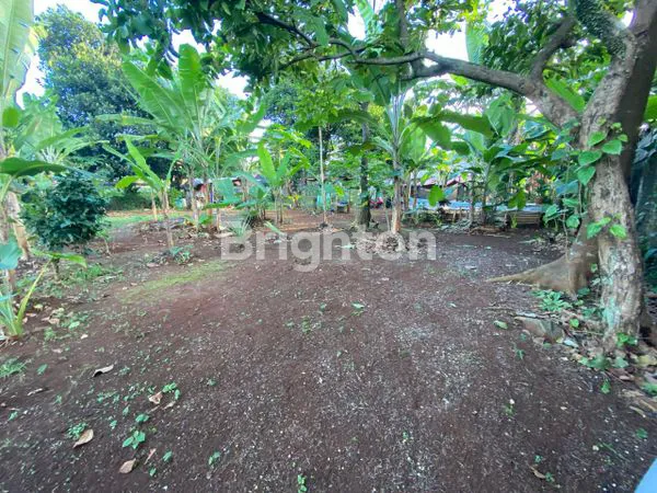image TANAH STRATEGIS 953M² DI GUNUNG SINDUR, BOGOR (3)