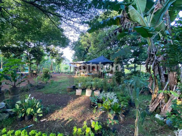 image TANAH STRATEGIS 953M² DI GUNUNG SINDUR, BOGOR (7)