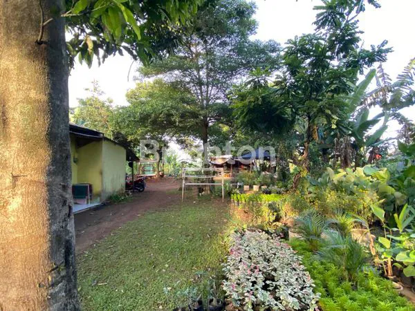 image TANAH STRATEGIS 953M² DI GUNUNG SINDUR, BOGOR (2)