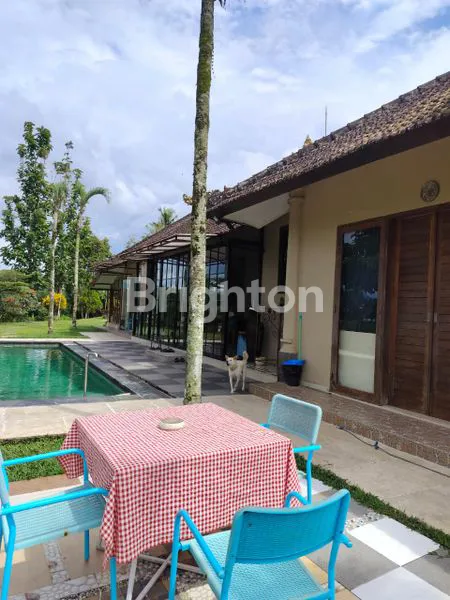 image DIJUAL VILLA DI TEGALALANG, UBUD / FOR SALE – VILLA IN TEGALALANG, UBUD (6)