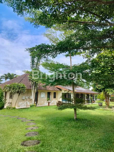 image DIJUAL VILLA DI TEGALALANG, UBUD / FOR SALE – VILLA IN TEGALALANG, UBUD (3)