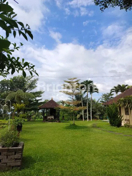 image DIJUAL VILLA DI TEGALALANG, UBUD / FOR SALE – VILLA IN TEGALALANG, UBUD (1)