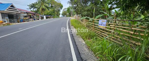 image TANAH DISEWAKAN (2)