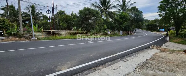 image TANAH DISEWAKAN (3)