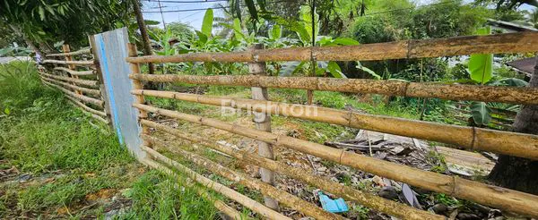 image TANAH DISEWAKAN (5)