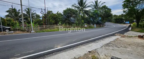 image TANAH DISEWAKAN (1)