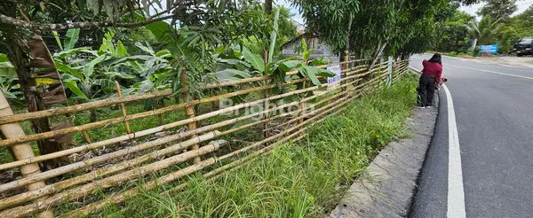 image TANAH DISEWAKAN (6)