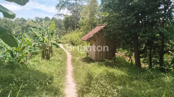 image TANAH PREMIUM VIEW LAUT DI SUKAMAJU, TELUK BETUNG TIMUR, BANDAR LAMPUNG (4)