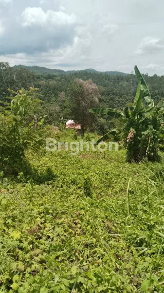 image TANAH PREMIUM VIEW LAUT DI SUKAMAJU, TELUK BETUNG TIMUR, BANDAR LAMPUNG (3)