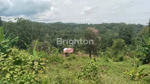 image TANAH PREMIUM VIEW LAUT DI SUKAMAJU, TELUK BETUNG TIMUR, BANDAR LAMPUNG (2)