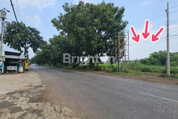 TANAH STRATEGIS 20.000 M² DUA MUKA JALAN UTAMA – JL MT HARYONO & JL CUT NYAK DIEN, SLAWI - TEGAL | SHM | COCOK RS, MALL, PABRIK, PERUMAHAN