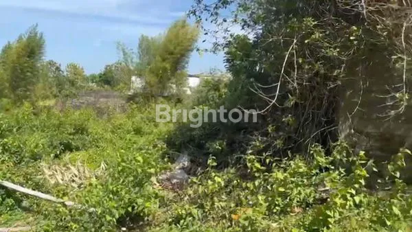 image DIJUAL TANAH DI GOA GONG (1)