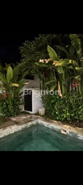 image VILLA DISEWAKAN DI PERERENAN (6)