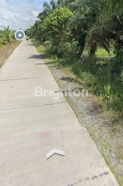 image LAHAN TANAH KOSONG SIAP BANGUN UKURAN LUAS  DEKAT AREA KOMPLEKS PERUMAHAN SERDAM PONTIANAK (4)