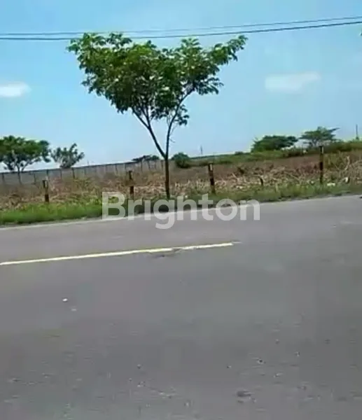 image TANAH LOKASI TUBAN LUAS 4 HEKTAR LEBAR 100, 900 RB /M2 (1)