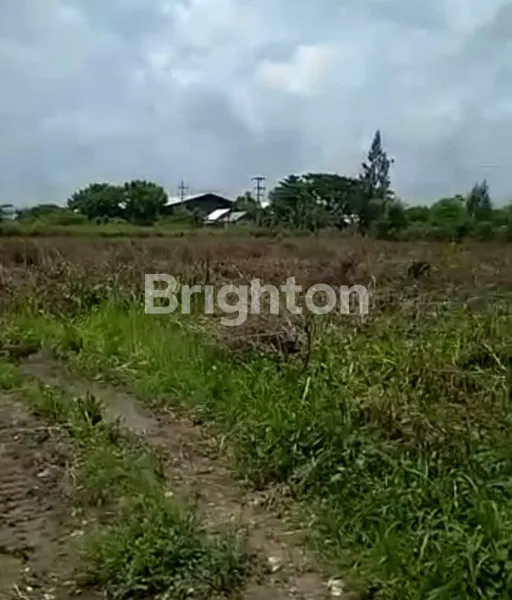 image TANAH LOKASI TUBAN LUAS 4 HEKTAR LEBAR 100, 900 RB /M2 (2)