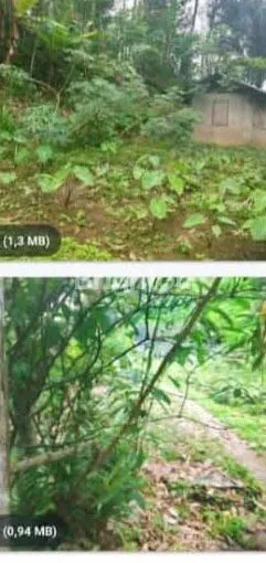 image TANAH LUAS 16 ARE SHM DI SINGARAJA, VIEW PEGUNUNGAN (4)