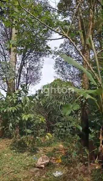 image TANAH LUAS 16 ARE SHM DI SINGARAJA, VIEW PEGUNUNGAN (1)