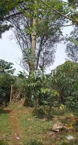 image TANAH LUAS 16 ARE SHM DI SINGARAJA, VIEW PEGUNUNGAN (2)