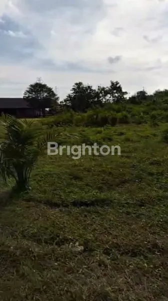 image DIJUAL TANAH LUAS 5 HEKTAR – BRABAN, TANAH LOT (3)