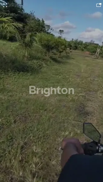 image DIJUAL TANAH LUAS 5 HEKTAR – BRABAN, TANAH LOT (4)