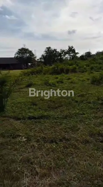 image DIJUAL TANAH LUAS 5 HEKTAR – BRABAN, TANAH LOT (5)