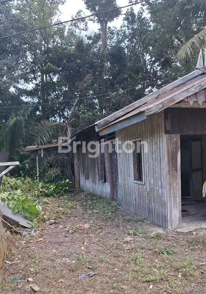 image DIJUAL/ DISEWA RUMAH KAYU BESERTA TANAH (3)