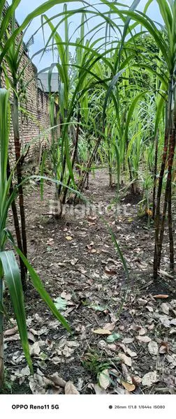 image TANAH KOSONG DI PANGLIMA DENAI MEDAN (2)