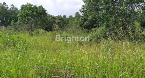 image TANAH KOSONG DI PANGLIMA DENAI MEDAN (1)