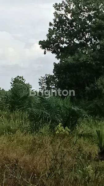 image TANAH STRATEGIS DI PARIT DELIMA PUNGGUR KECIL KAKAP KUBU RAYA (4)