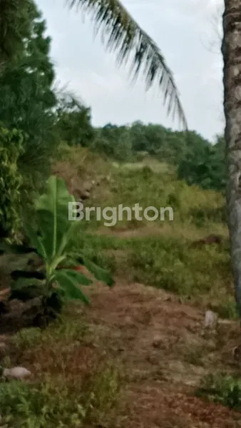 image TANAH STRATEGIS DI PARIT DELIMA PUNGGUR KECIL KAKAP KUBU RAYA (2)