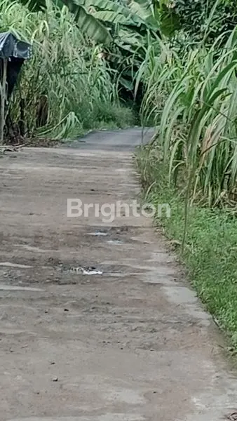image TANAH STRATEGIS DI PARIT DELIMA PUNGGUR KECIL KAKAP KUBU RAYA (3)