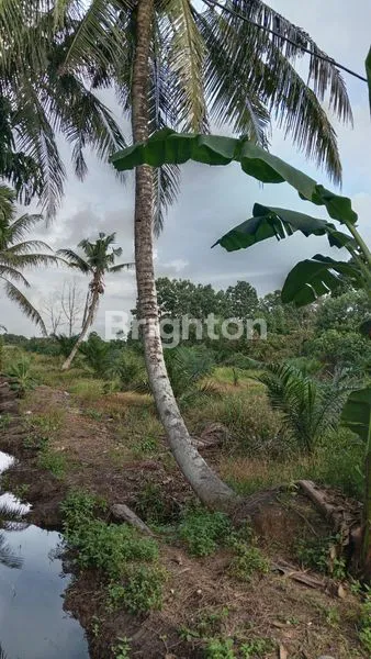 image TANAH STRATEGIS DI PARIT DELIMA PUNGGUR KECIL KAKAP KUBU RAYA (1)