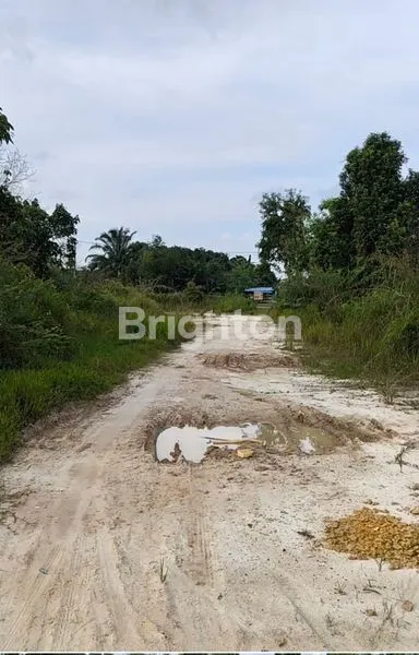 image LAHAN SIAP BANGUN DI JL. LINTAS SUMATERA, PEKANBARU (3)