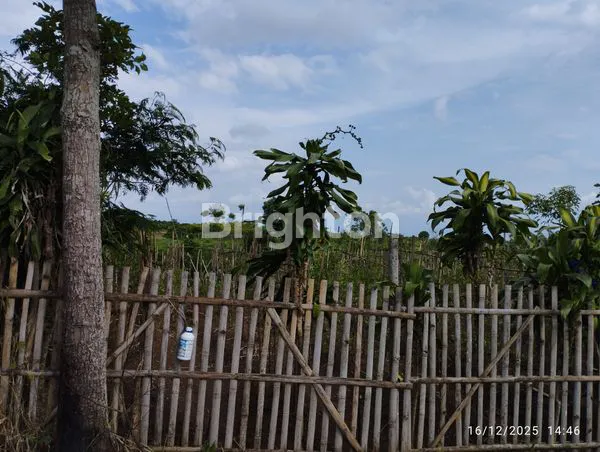 image LAHAN PREMIUM SHM 3.200M², VIEW PANORAMA ARJUNO DI AREA SUNDUL LANGIT (1)