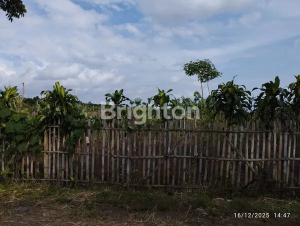 image LAHAN PREMIUM SHM 3.200M², VIEW PANORAMA ARJUNO DI AREA SUNDUL LANGIT (2)