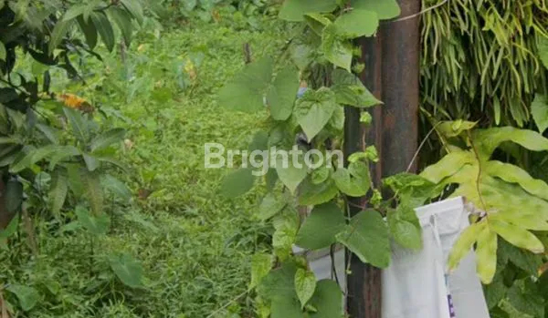 image TANAH DI JL KUNANG KUNANG (2)