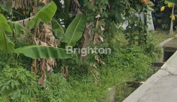 image TANAH DI JL KUNANG KUNANG (3)