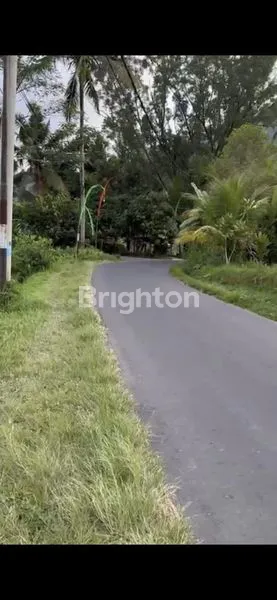 image TANAH PINGGIR JALAN DAN VIEW SUNGAI AREA SIDEMEN (2)