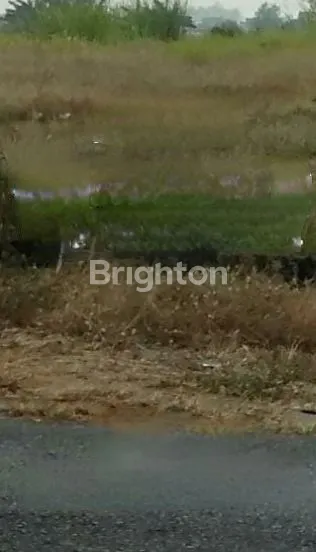 Gambar Property TANAH DI MENGANTI GRESIK