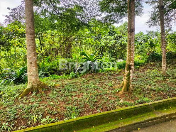 image LAHAN EKSKLUSIF 300M², SIAP BANGUN DI CITRALAND (4)