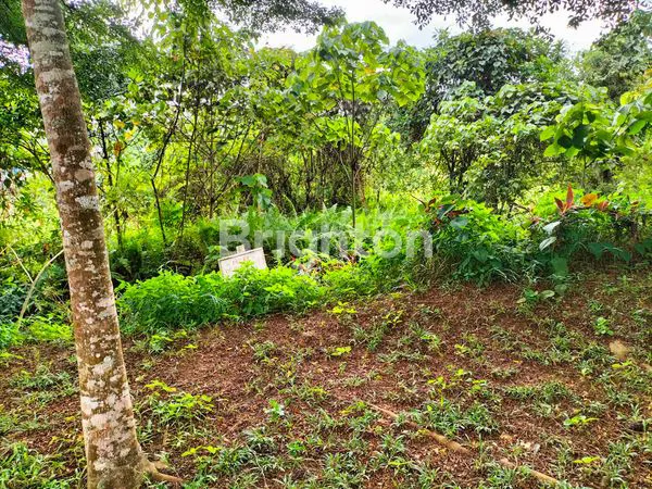 image LAHAN EKSKLUSIF 300M², SIAP BANGUN DI CITRALAND (3)