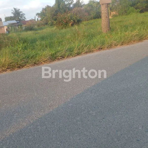 image LAHAN LUAS DI SEKITAR PEMUKIMAN (1)