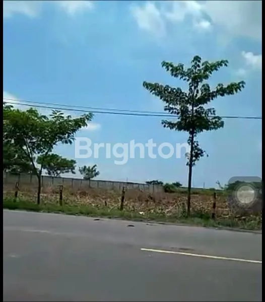 image JUAL TANAH UNTUK INDUSTRI DI WIDANG, TUBAN (8)