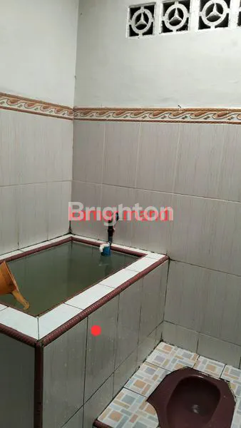 image BOTANIA GARDEN BATAM KOTA (4)