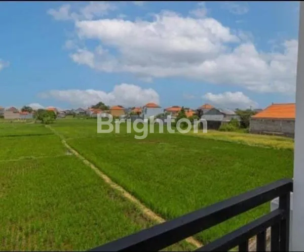 image VILLA MEWAH DI SANUR, 5 KT + 6 KM, FULLY FURNISHED (6)