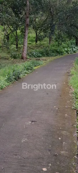 image DIJUAL TANAH LOKASI SANGAT STRATEGIS VIEW SANGAT BAGUS (3)