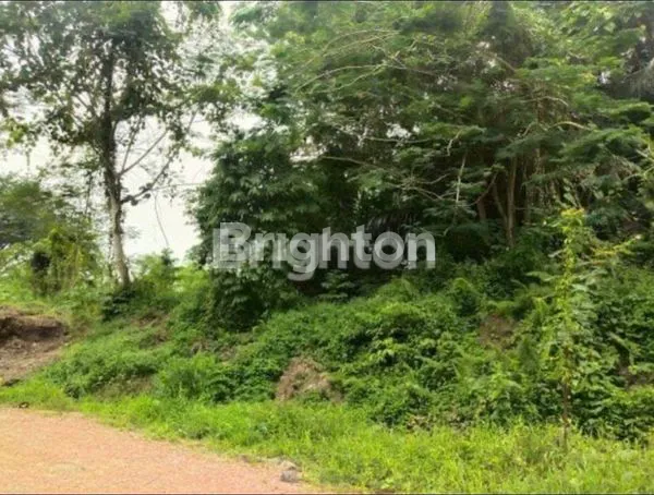 image TANAH SAMARINDA, MURAH, SIAP BANGUN (1)